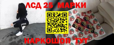 гидропоника Нальчик