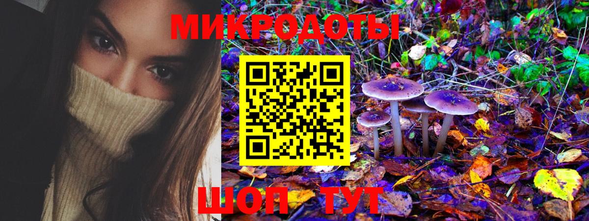 Рязань  Псилоцибиновые грибы мухоморы  Вход с VPN 
